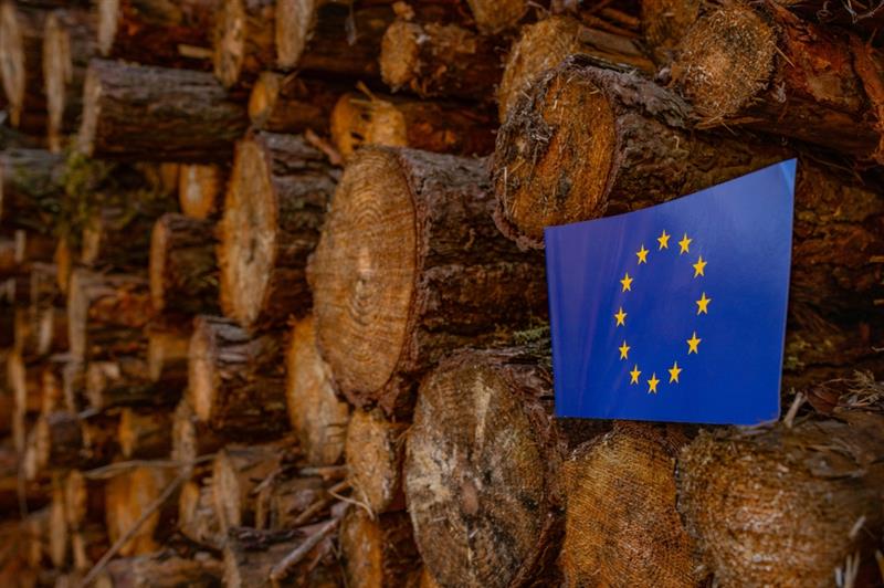 Deforestation Delay: EU Mulls Another Year’s Postponement of EUDR ...